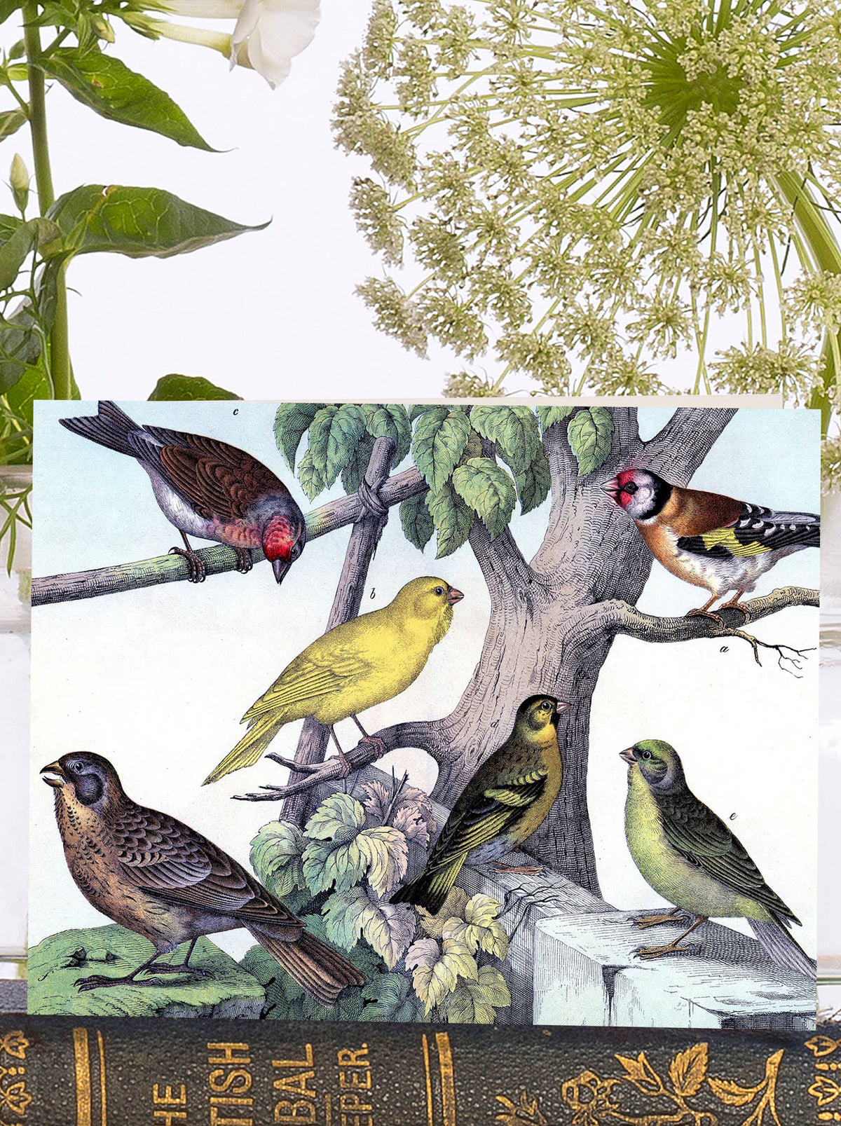VT0069P ~ Little Vintage Greeting Card