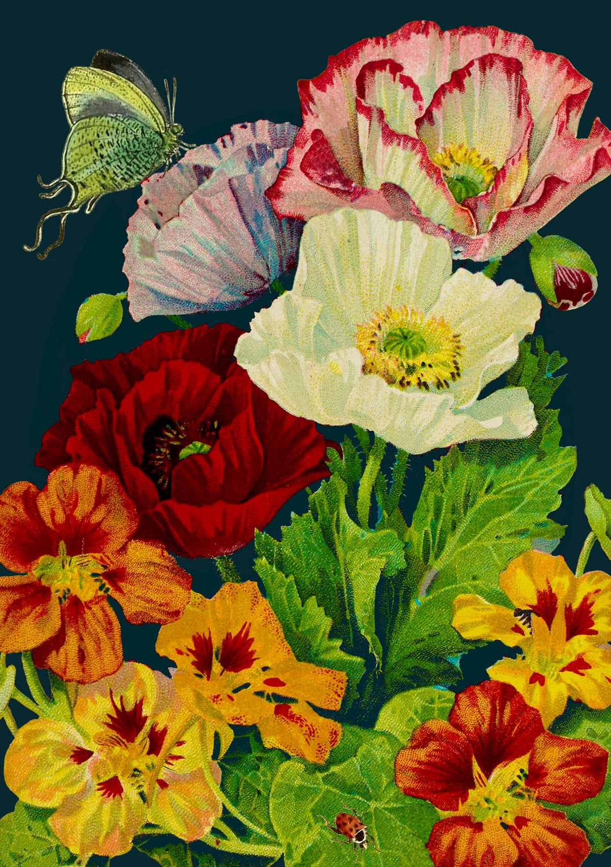 RS187P ~ Blank Midnight Botanical Greeting Card