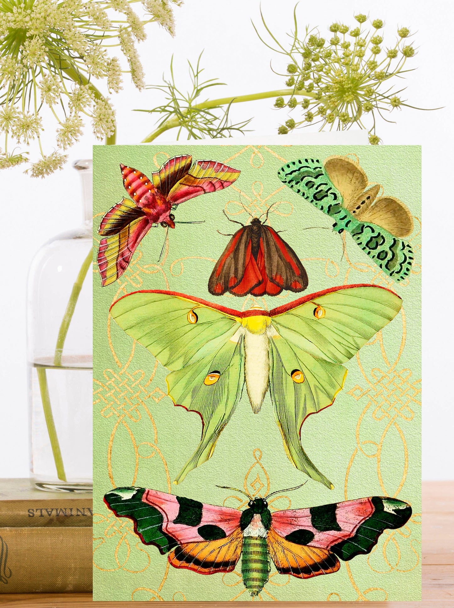 PU007P ~ Pop Up with gold foil Greeting Card
