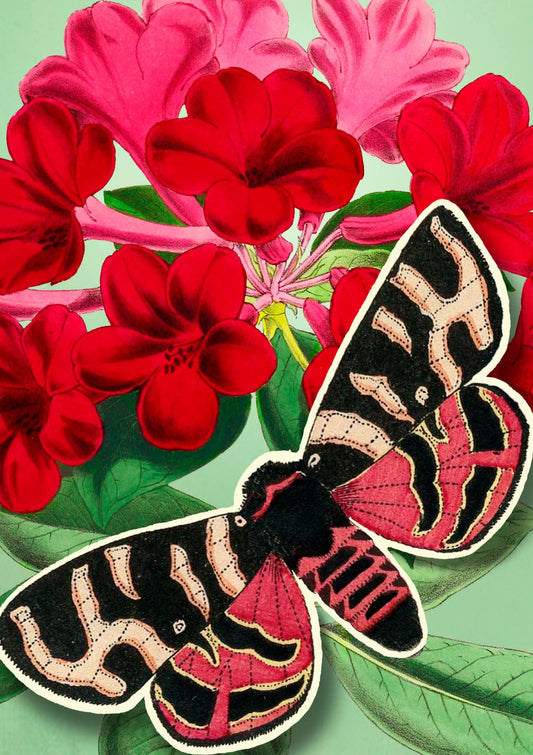 PU002P ~ Pop Up Greeting Card With Butterfly