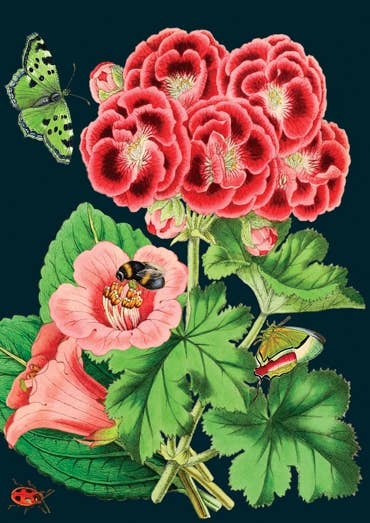 RS148P ~ Blank Midnight Botanical Greeting Card