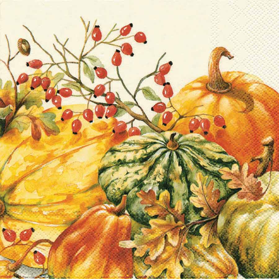 Paper Cocktail Napkins Pack of 20 Calabaza Pumpkin Fall