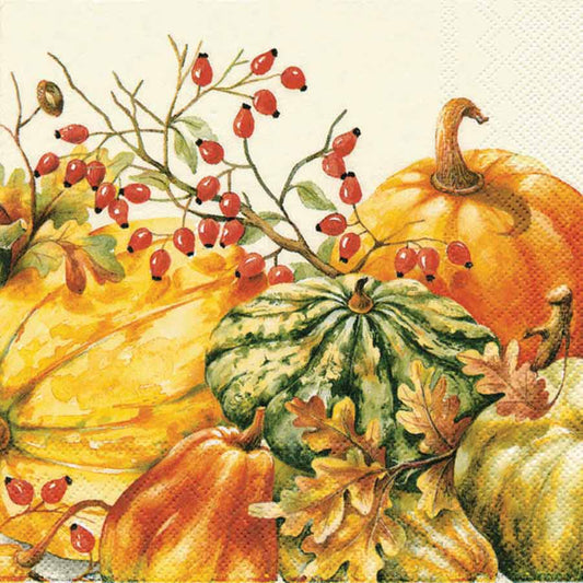 Paper Cocktail Napkins Pack of 20 Calabaza Pumpkin Fall