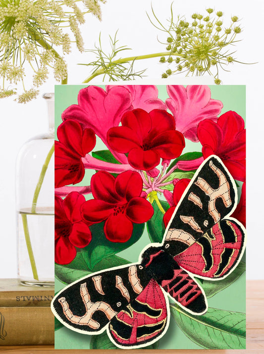 PU002P ~ Pop Up Greeting Card With Butterfly