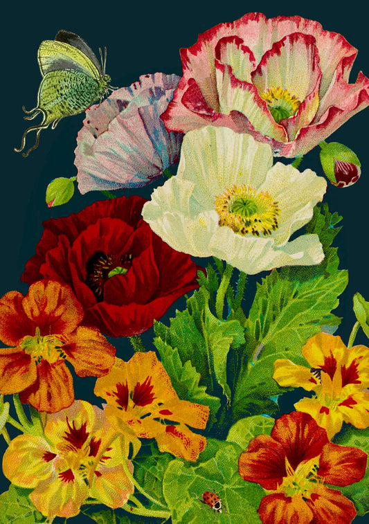 RS187P ~ Blank Midnight Botanical Greeting Card