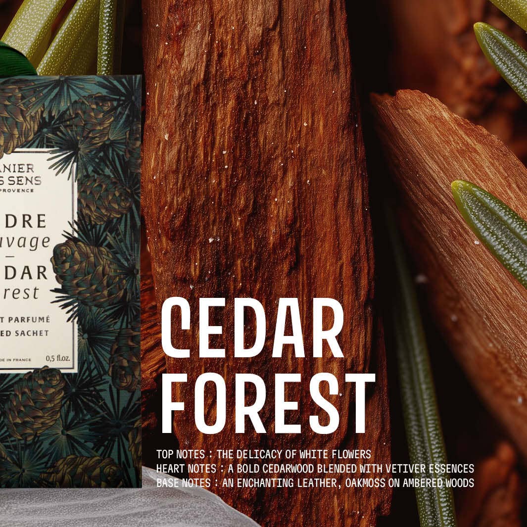 Scented Sachet Cedar Forest 0.5 oz
