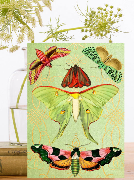 PU007P ~ Pop Up with gold foil Greeting Card