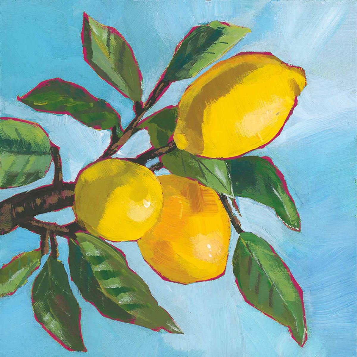 BEV-LEMON MUSEE
