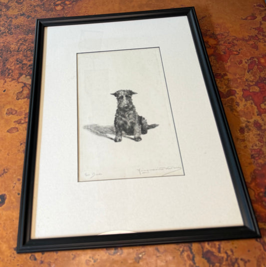"So Bad" Limited Edition Artist Etching Of A Scottish Terrier By Margaret Kirmse