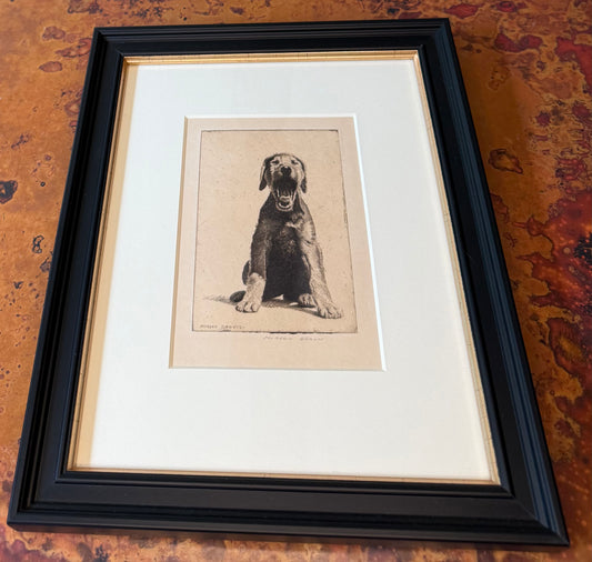 Morgan Dennis Signed Etching — Dog, c. Early–Mid 20th Century