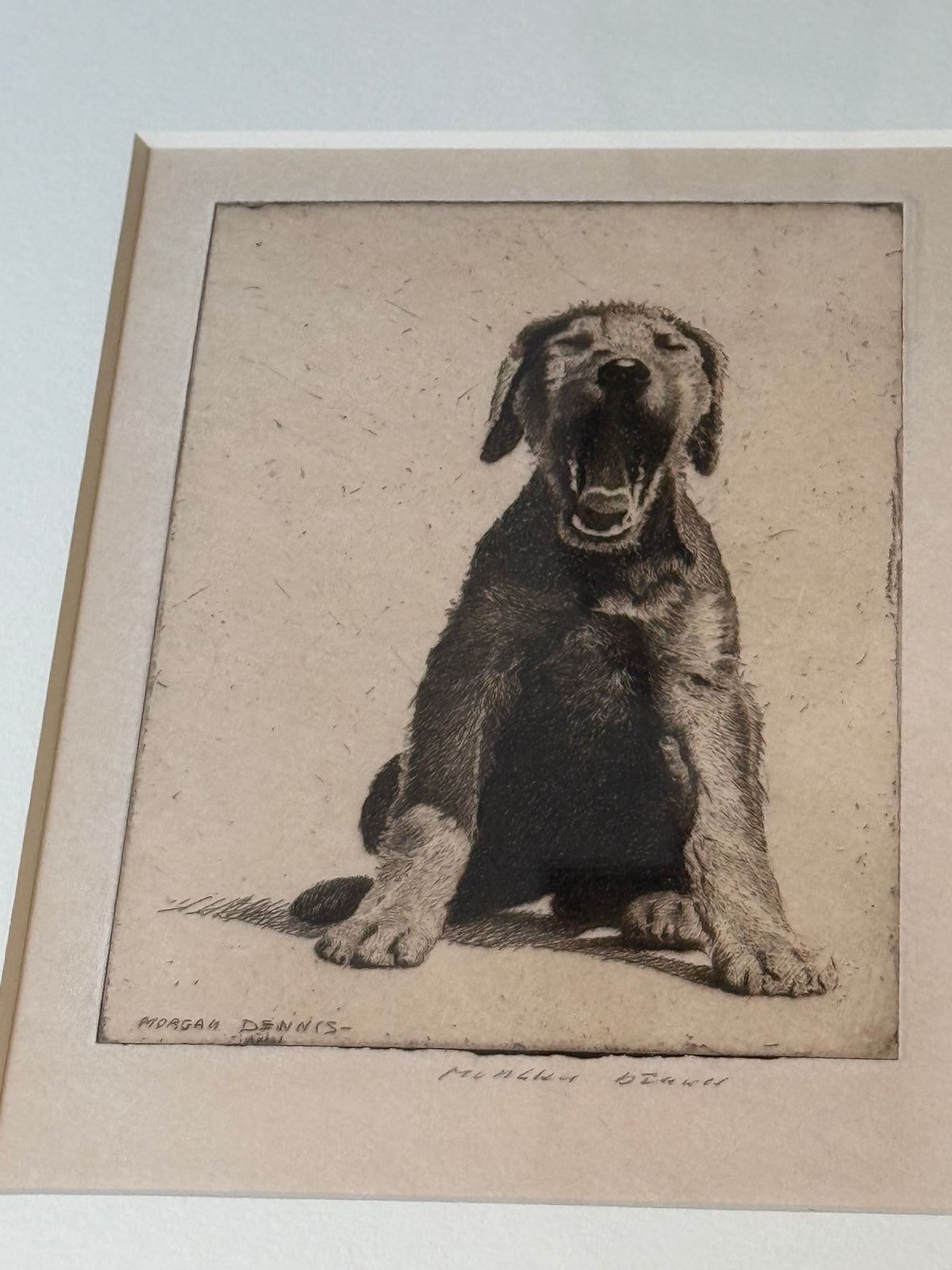 Morgan Dennis Signed Etching — Dog, c. Early–Mid 20th Century