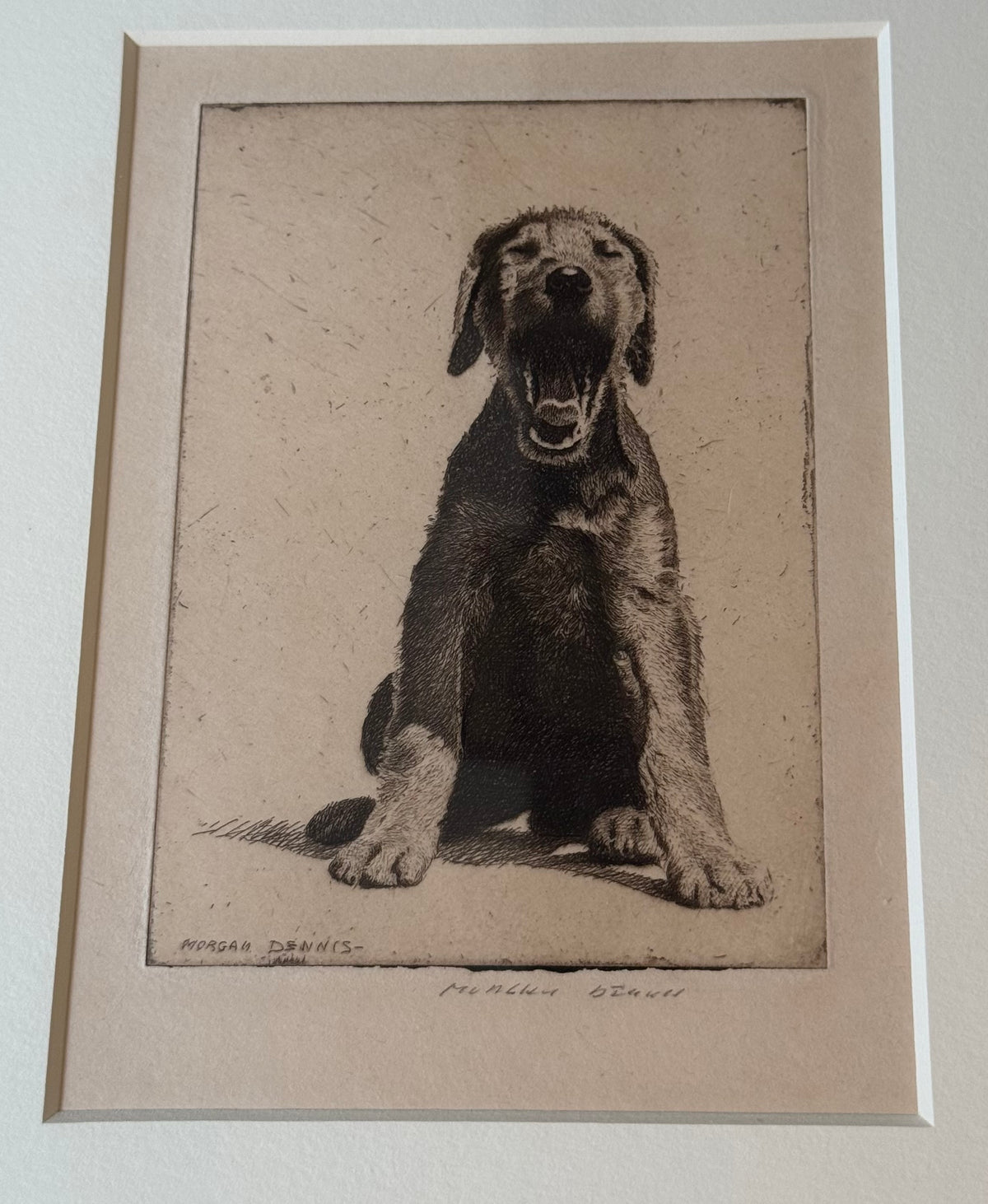 Morgan Dennis Signed Etching — Dog, c. Early–Mid 20th Century