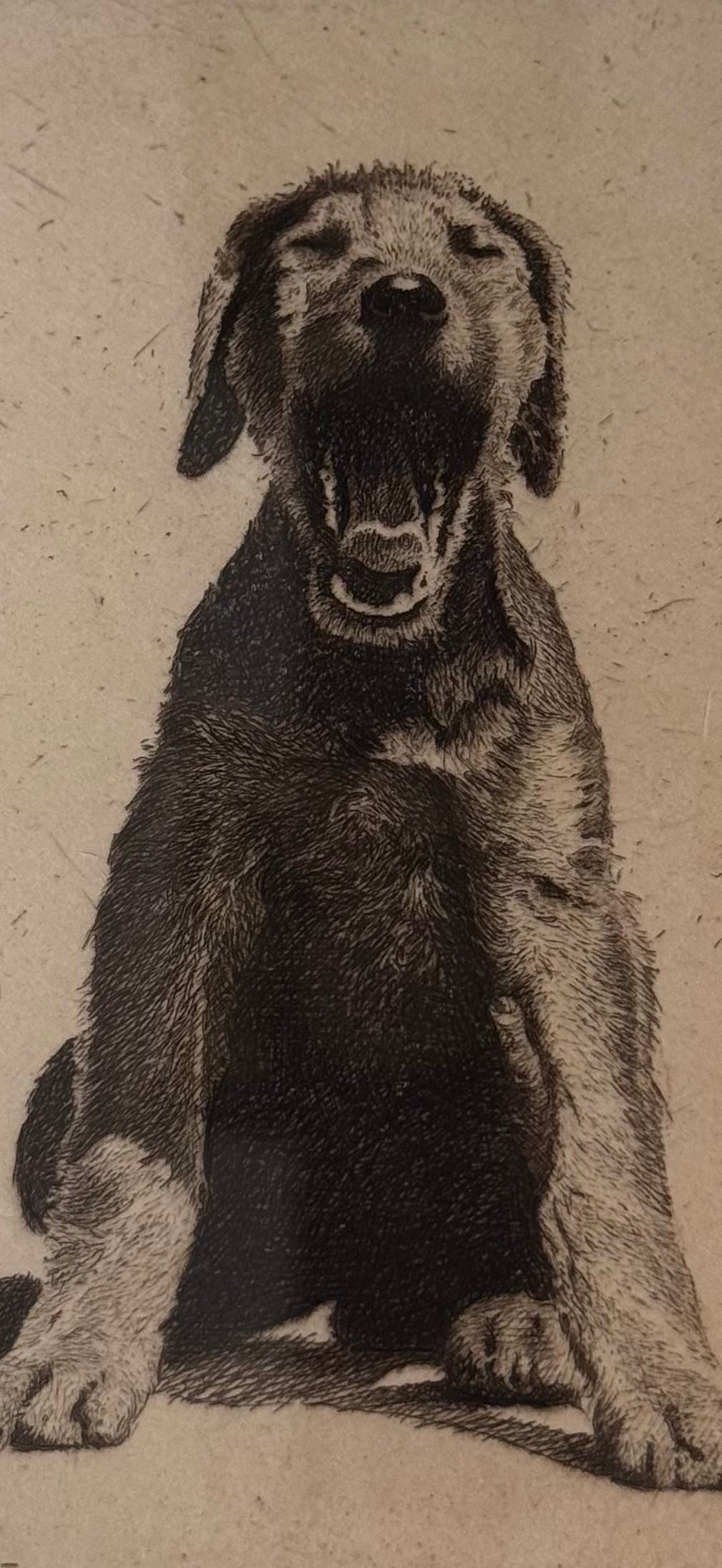 Morgan Dennis Signed Etching — Dog, c. Early–Mid 20th Century
