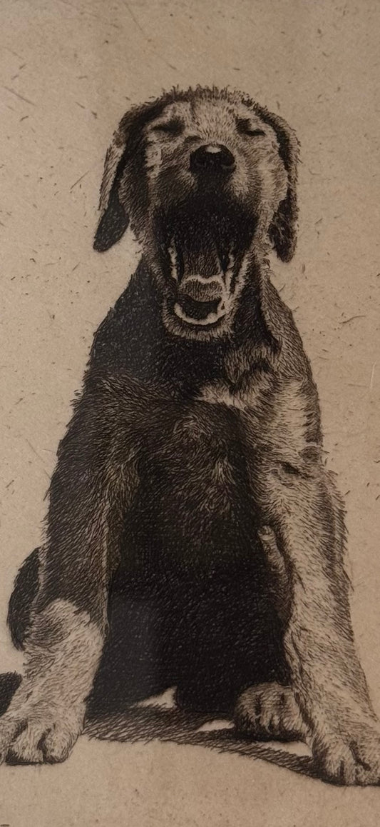 Morgan Dennis Signed Etching — Dog, c. Early–Mid 20th Century