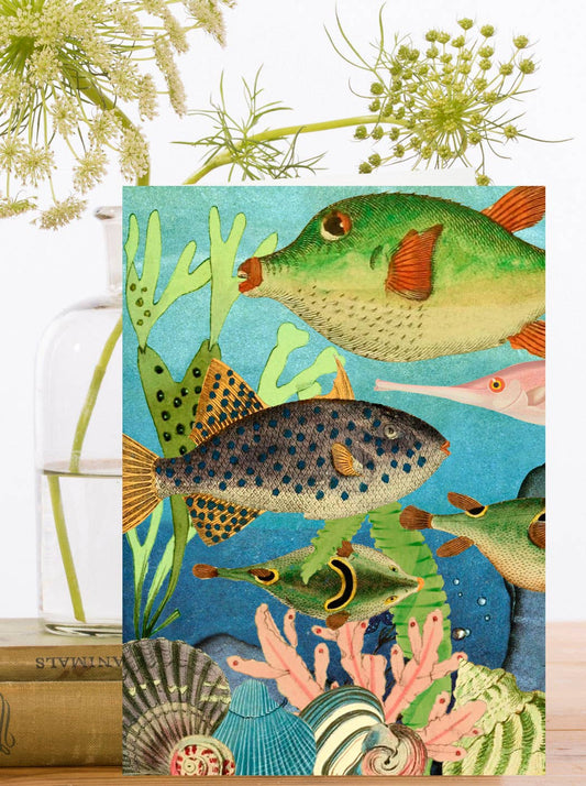 RS167P ~ Blank Greeting Card