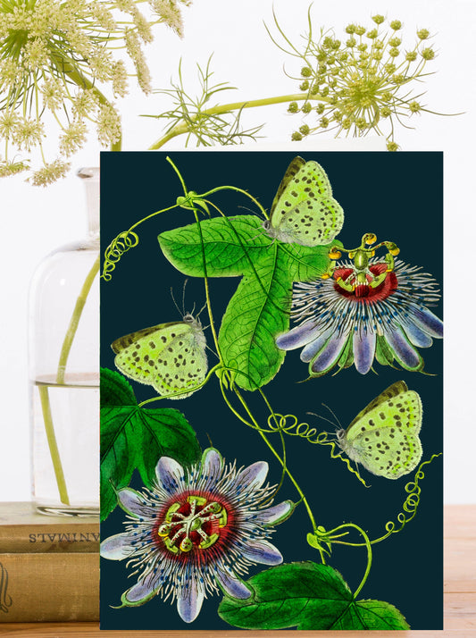 RS185P ~ Blank Midnight Botanical Greeting Card