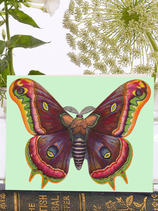 VT0073P ~ Little Vintage  Greeting Card
